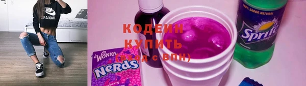 шишки Богородицк