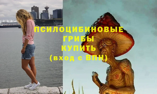 шишки Богородицк